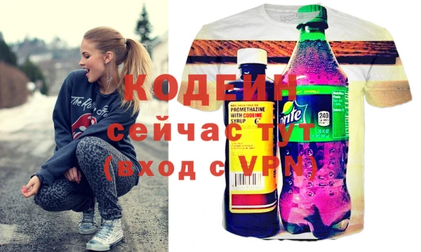 мдпв Кодинск