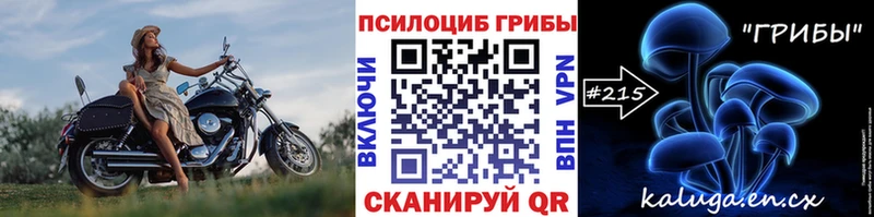 Галлюциногенные грибы MAGIC MUSHROOMS  kraken рабочий сайт  Вытегра  купить  цена 